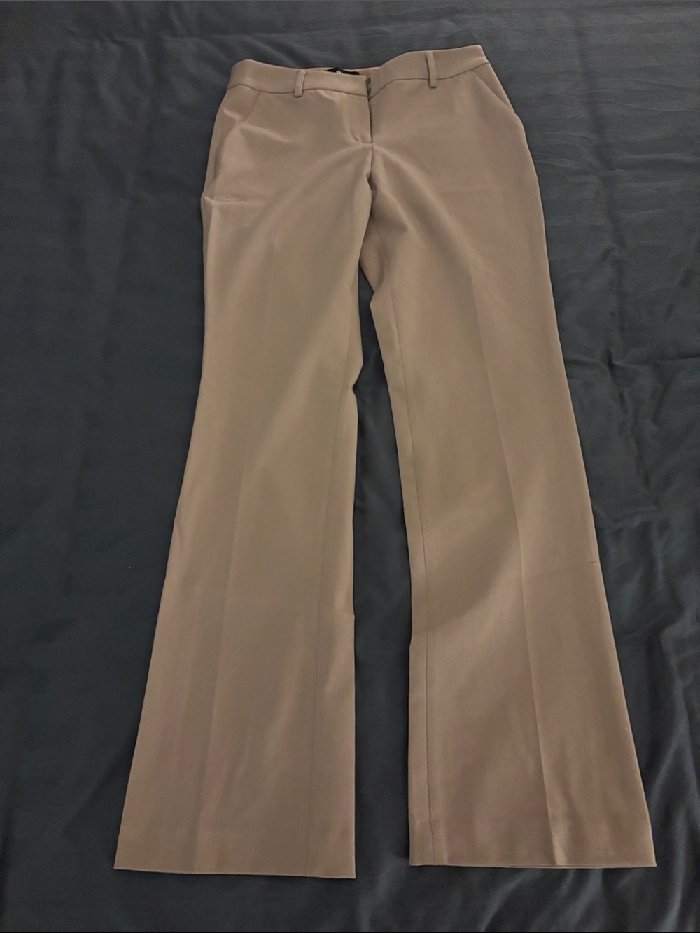 Express Women's Boot Cut Dress Pants in Taupe